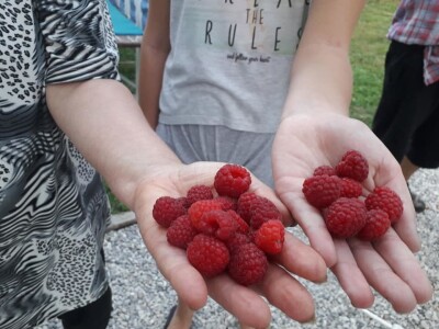 Ribarski dani Kopačevo