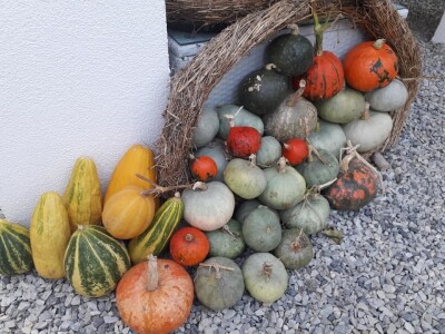 Ribarski dani Kopačevo