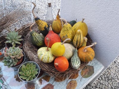 Ribarski dani Kopačevo