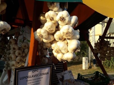 Ribarski dani Kopačevo