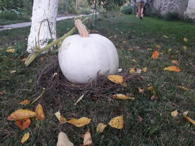 Ribarski dani Kopačevo