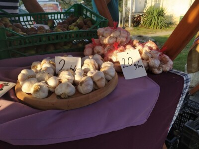 Ribarski dani Kopačevo