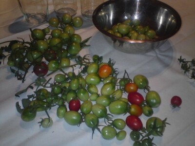 Prvo ih treba dobro oprati