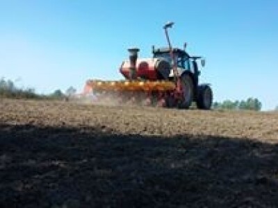 12. travnja, deveti dan; sjetva kukuruza, lokacija Županja.