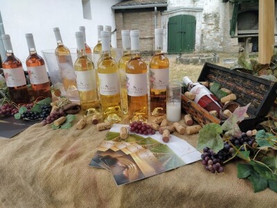 Premium vinski maraton