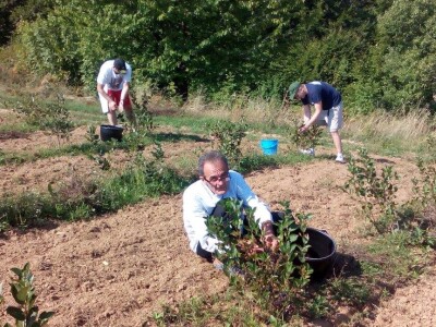 Poljoprivredno gazdinstvo „Aronija- Popović“ iz Banjaluke Poljoprivredno gazdinstvo „Aronija- Popović“ iz Banjaluke