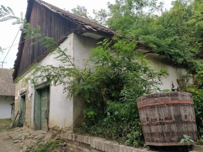 Premium vinski maraton