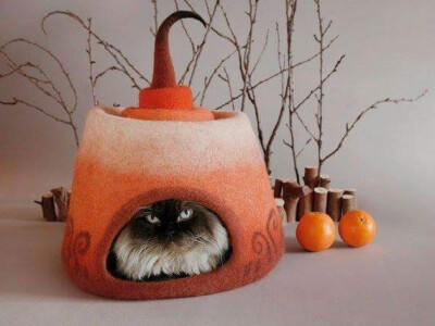 Vuneno mjesto za mace