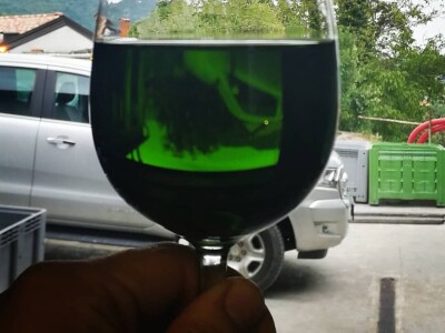 POTEKLO PRVO TEKUĆE ZLATO: Litra novog ulja od zelenih maslina od 150 do 500 eura! POTEKLO PRVO TEKUĆE ZLATO: Litra novog ulja od zelenih maslina od 150 do 500 eura!