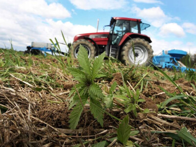 (Izvor Facebook Zvonimir Kalić)