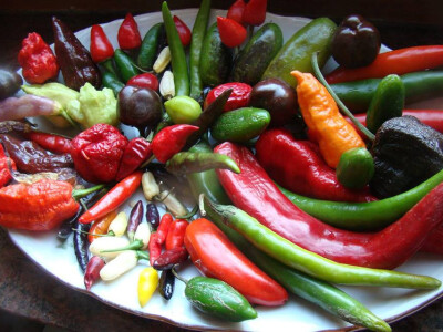 Bogatstvo sorti paprike