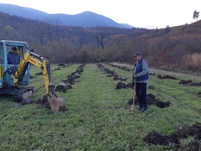 Lješnjak i orašasti plodovi su kulture nove generacije