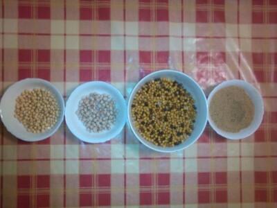 Proizvodnja leblebije u Bačkom Gradištu