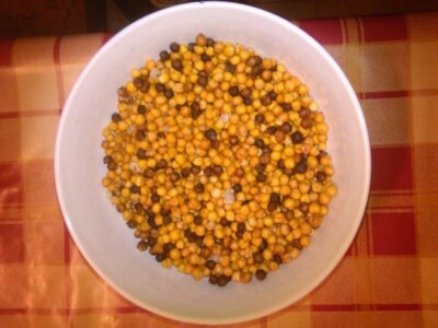 Proizvodnja leblebije u Bačkom Gradištu