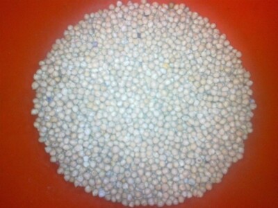 Proizvodnja leblebije u Bačkom Gradištu