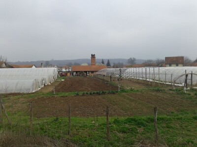 Proizvodnja rasada i povrća porodice Stevanović iz sela Sedlare