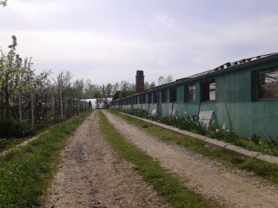 Proizvodnja rasada i povrća porodice Stevanović iz sela Sedlare