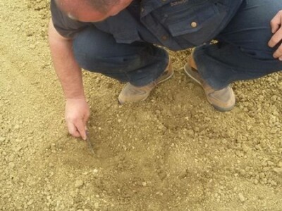 Sjetva šećerne repe Tempo sijačicom