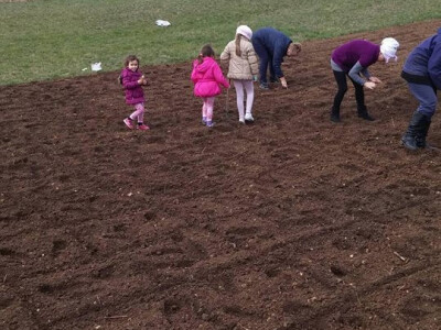 Sjetva ljekovitog bilja