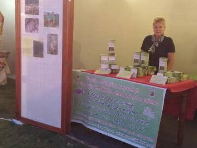 Ljekovito bilje &quot;Orhideja&quot; iz Bihaća