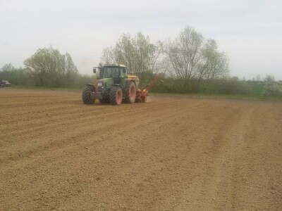 Sjetva šećerne repe Tempo sijačicom