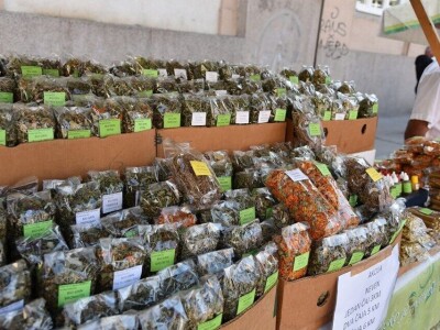 13. Dani organske proizvodnje