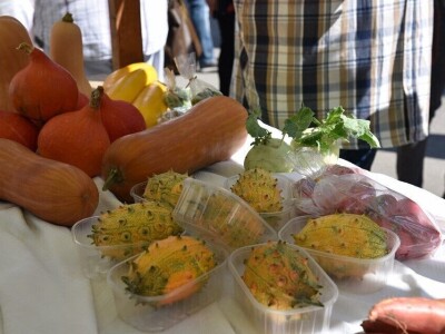 13. Dani organske proizvodnje