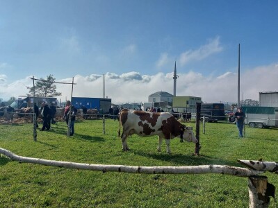 13. Izložba stočarstva i ruralnog stvaralaštva Gračanica - Doboj Istok 2024
