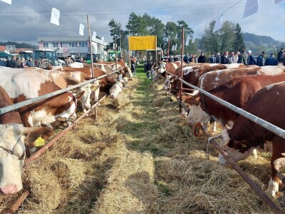 13. Izložba stočarstva i ruralnog stvaralaštva Gračanica - Doboj Istok 2024