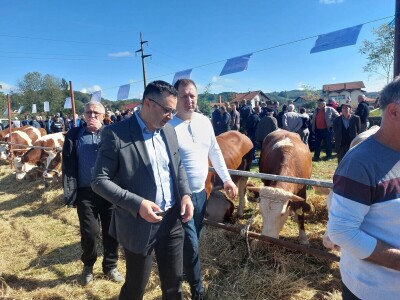13. Izložba stočarstva i ruralnog stvaralaštva Gračanica - Doboj Istok 2024
