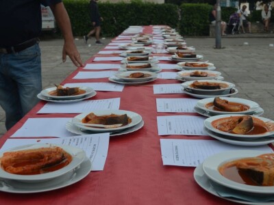 13. Ravnokotarska fišijada