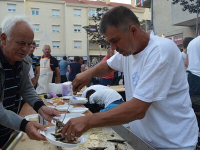 13. Ravnokotarska fišijada