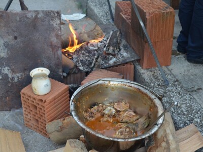 13. Ravnokotarska fišijada