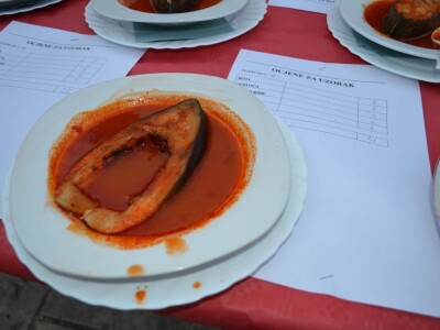 13. Ravnokotarska fišijada