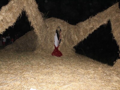 13. Slama Land Art Festival - Femina