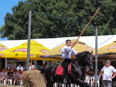 13. Šokačka alka