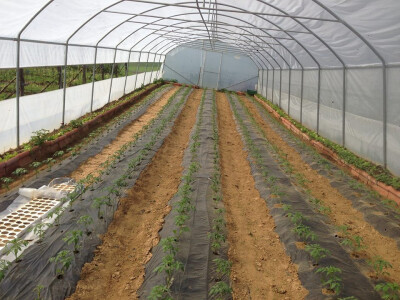 serif-dervisa-husidic-4 serif-dervisa-husidic-4