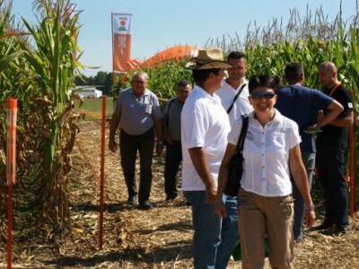 Razgledavanje gostiju