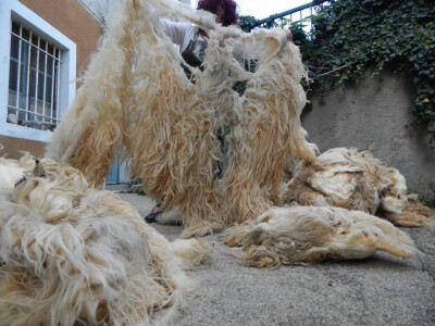 Sušenje ovčije vune