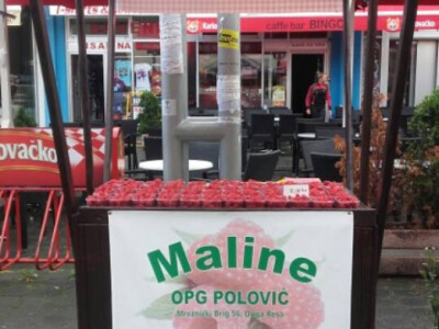 Opg Polović