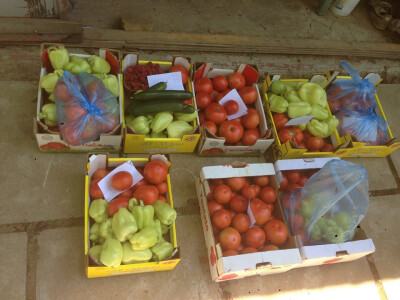 serif-dervisa-husidic-9 serif-dervisa-husidic-9