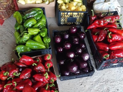 Ne, ja sam rekao da pčelarim od srednje škole. Nisam završio poljoprivrednu nego Gimnaziju. Najveći uticaj na mene i moj najveći mentor bio mi je jadan daljnji kum iz mog sela, Milutin Šokčević, stari