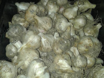 ajdin-mesic-bijeli-luk ajdin-mesic-bijeli-luk