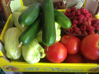 serif-dervisa-husidic-6 serif-dervisa-husidic-6