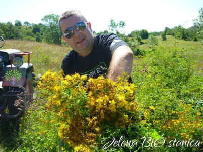 Ljekovito bilje - šansa za mlade ljude