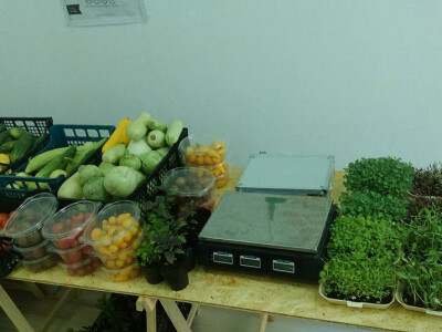 Ponuda na tržnici Ponuda na tržnici