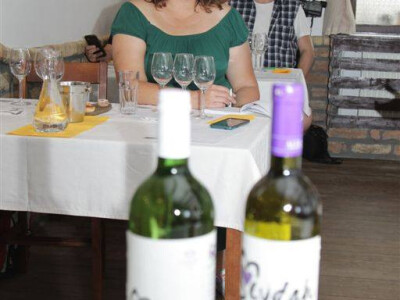 Koja je najbolja voda za špricer?