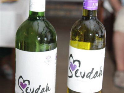 Koja je najbolja voda za špricer?