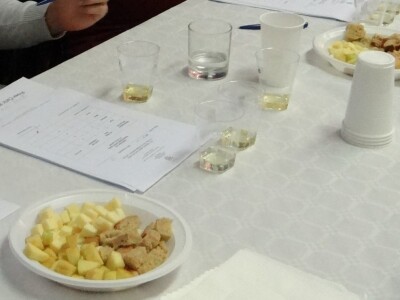 14. Edukacijsko ocjenjivanje kvalitete voćnih rakija i likera u HGK ŽK Osijek