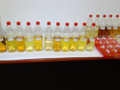 14. Edukacijsko ocjenjivanje kvalitete voćnih rakija i likera u HGK ŽK Osijek